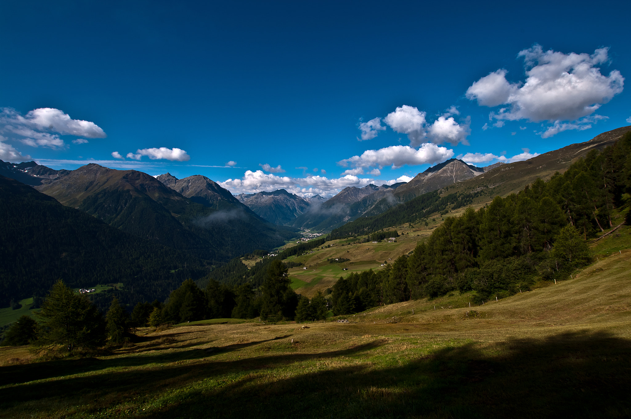 Sigma 70-200mm F2.8 EX DG Macro HSM II sample photo. Ardez meadows 2014 photography