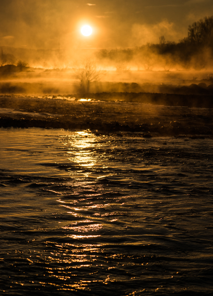 Sony ILCA-77M2 + Sony 70-400mm F4-5.6 G SSM sample photo. Morning light photography