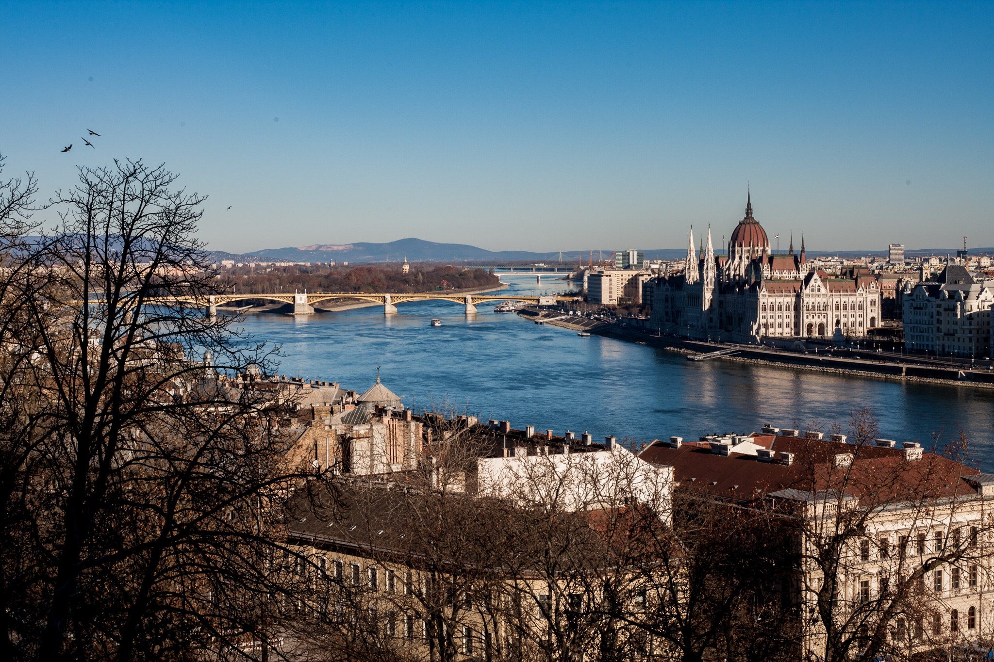 Canon EOS-1D Mark III + Canon EF 50mm F1.8 II sample photo. Budapest ii photography