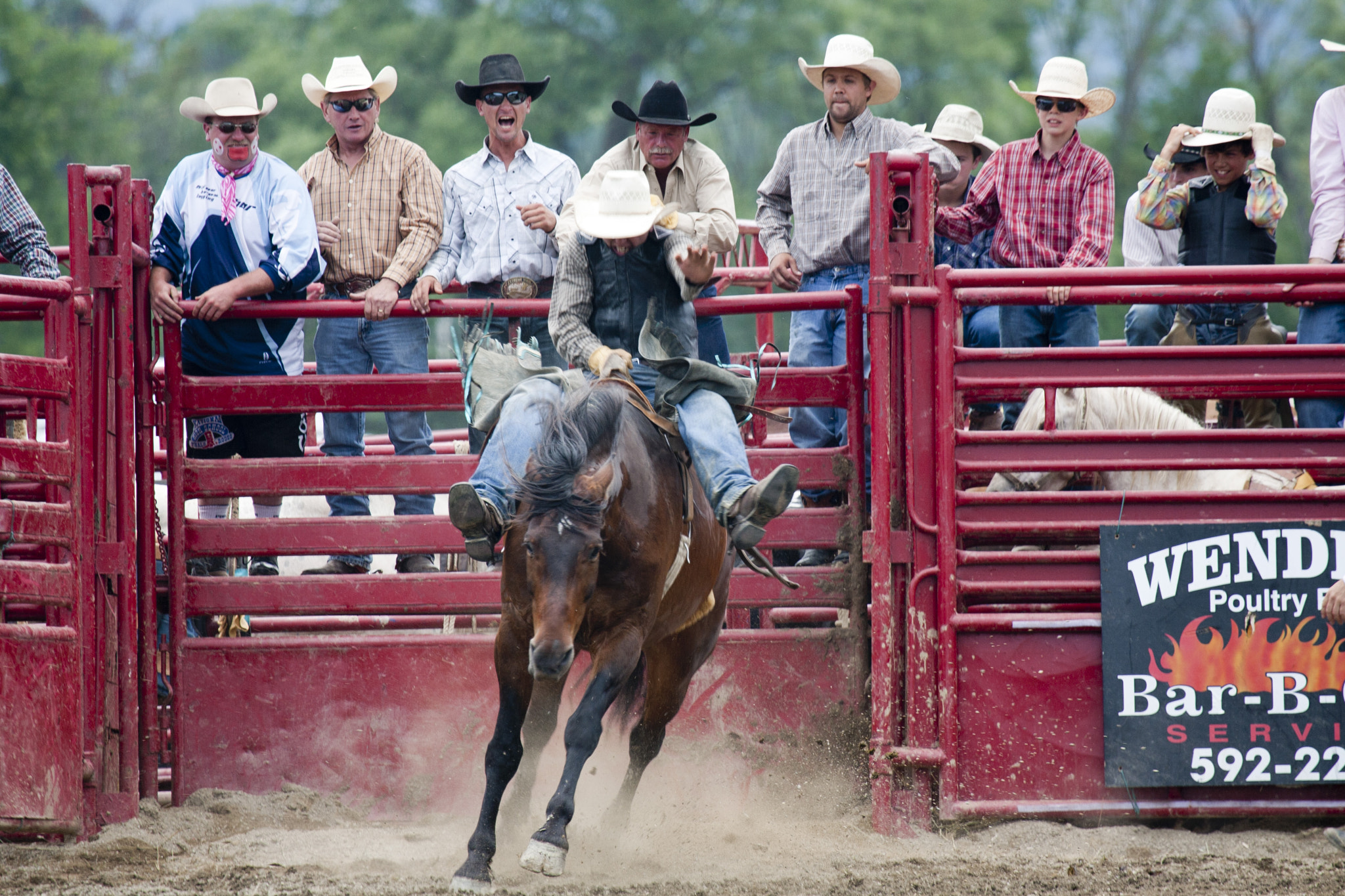 Canon EOS-1D Mark II N + Canon EF 100-400mm F4.5-5.6L IS USM sample photo. Rodeo photography
