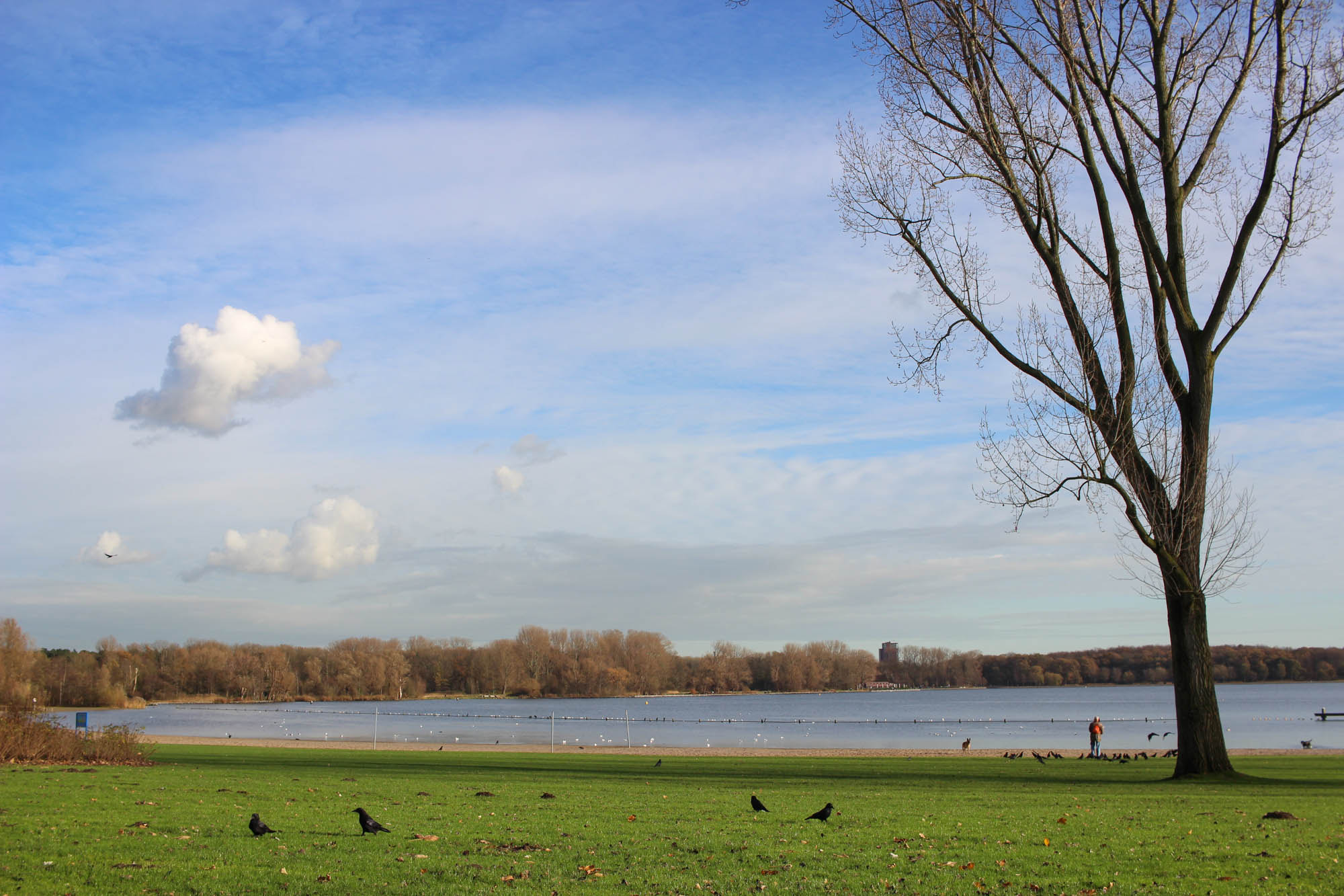 Canon EOS 600D (Rebel EOS T3i / EOS Kiss X5) sample photo. Rotterdam photography
