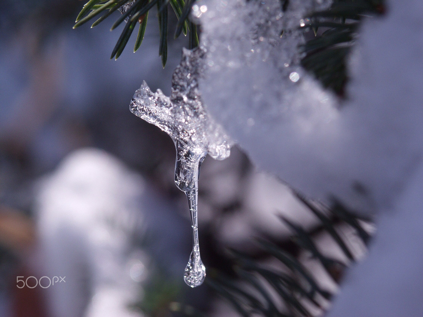 Olympus E-10 sample photo. Frozen moment photography