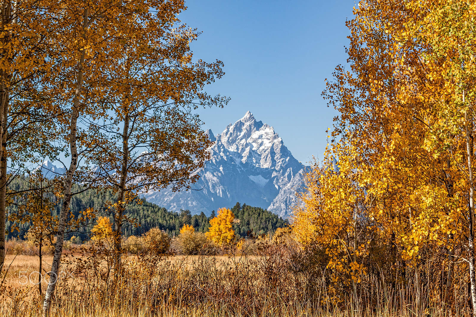 Canon EOS 50D + EF28-70mm f/2.8L USM sample photo. Teton fall landscape photography