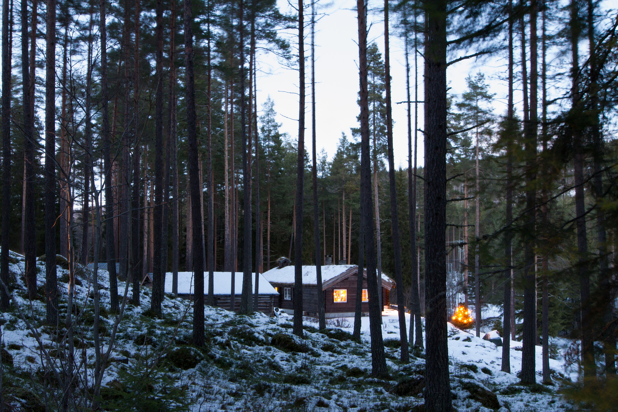 Canon EOS 7D + Sigma 20mm F1.4 DG HSM Art sample photo. Cozy christmas in norway photography