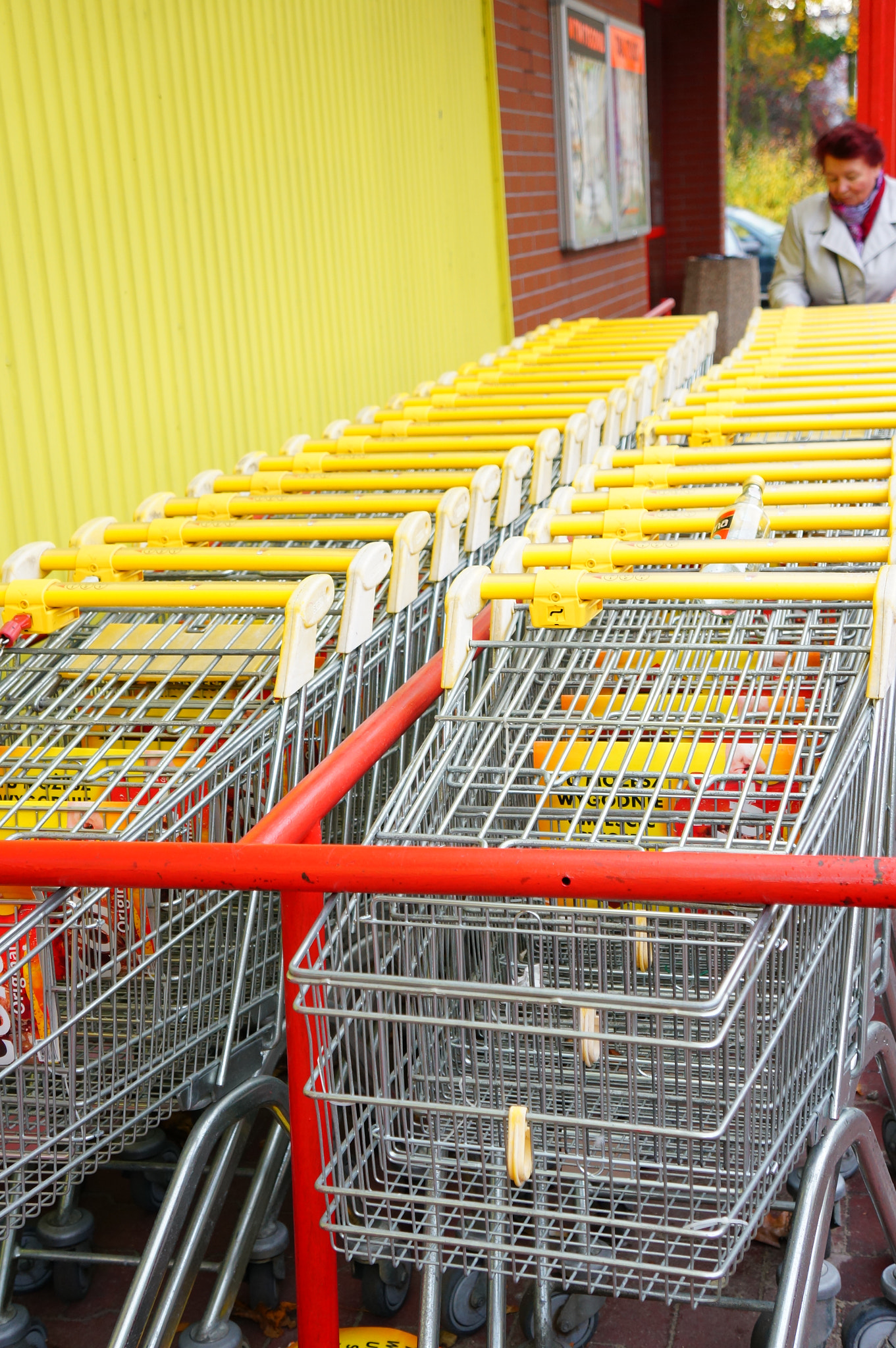 Sony E 18-55mm F3.5-5.6 OSS sample photo. Shopping carts photography