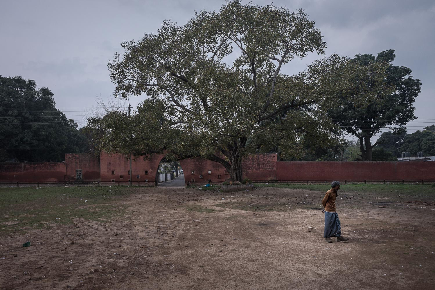 Nikon D600 + Nikon AF-S Nikkor 24mm F1.4G ED sample photo. Chandigarh photography