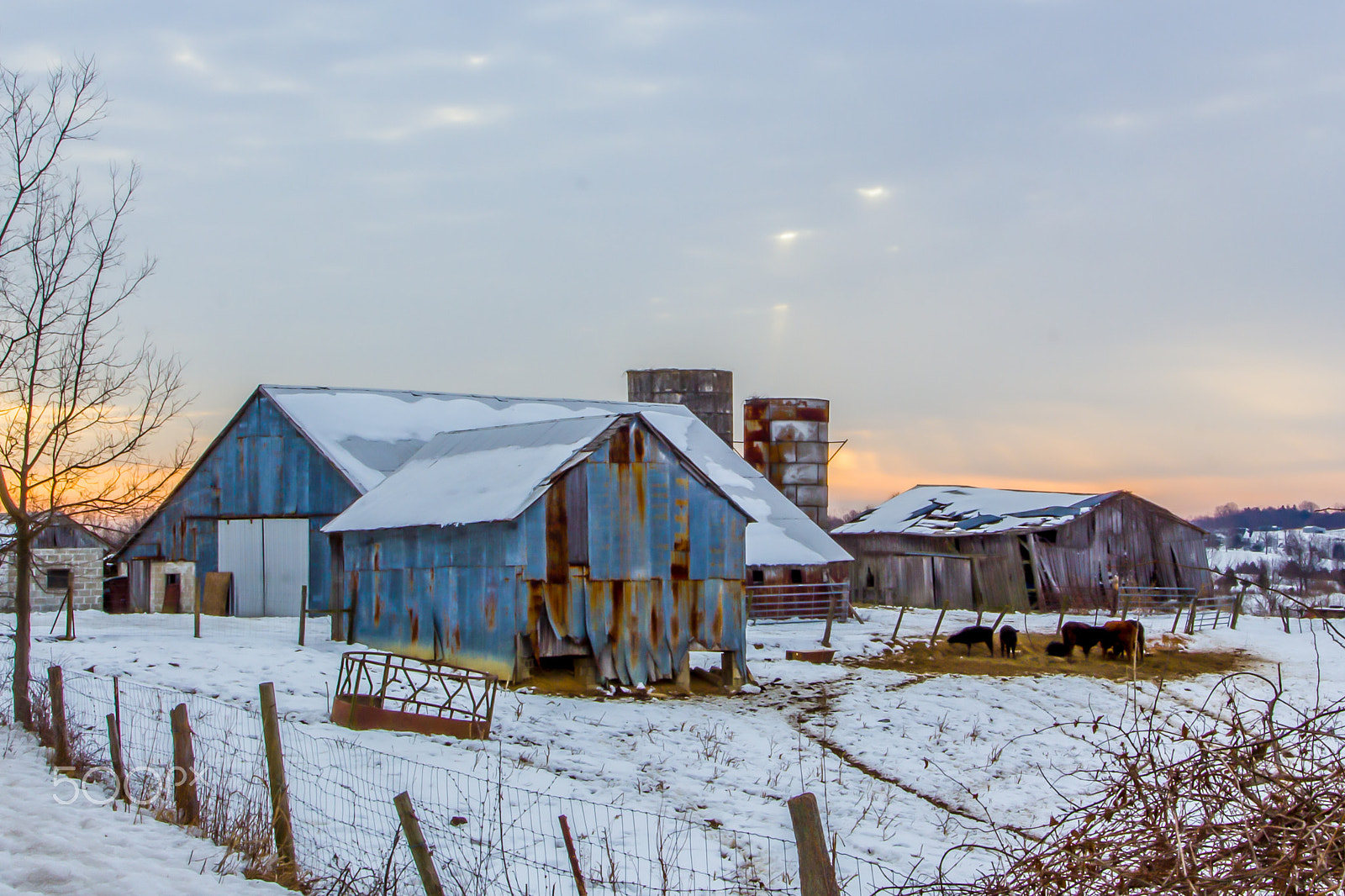 Canon EOS 550D (EOS Rebel T2i / EOS Kiss X4) + Canon EF 17-40mm F4L USM sample photo. Winter sunrise at the farm photography