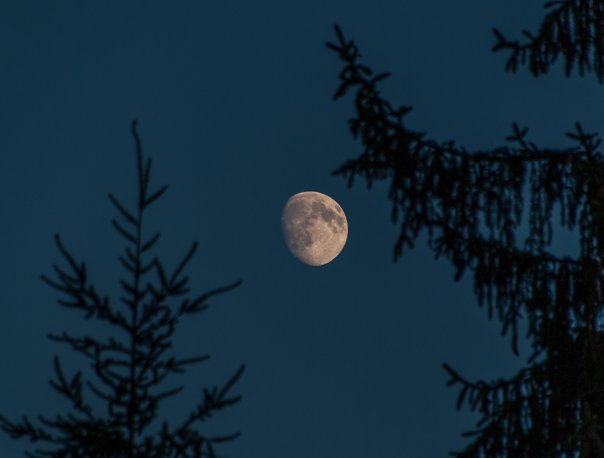 Pentax K10D + Sigma 18-200mm F3.5-6.3 II DC OS HSM sample photo. Moon photography