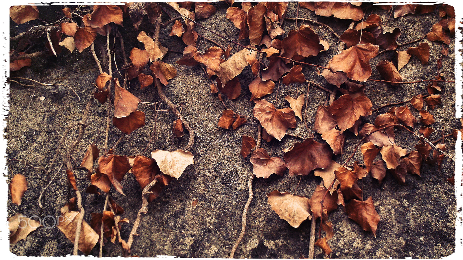 Olympus u760,S760 sample photo. Sintra 2015 photography