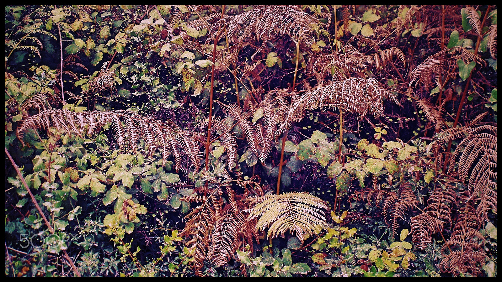 Olympus u760,S760 sample photo. Sintra 2015 photography