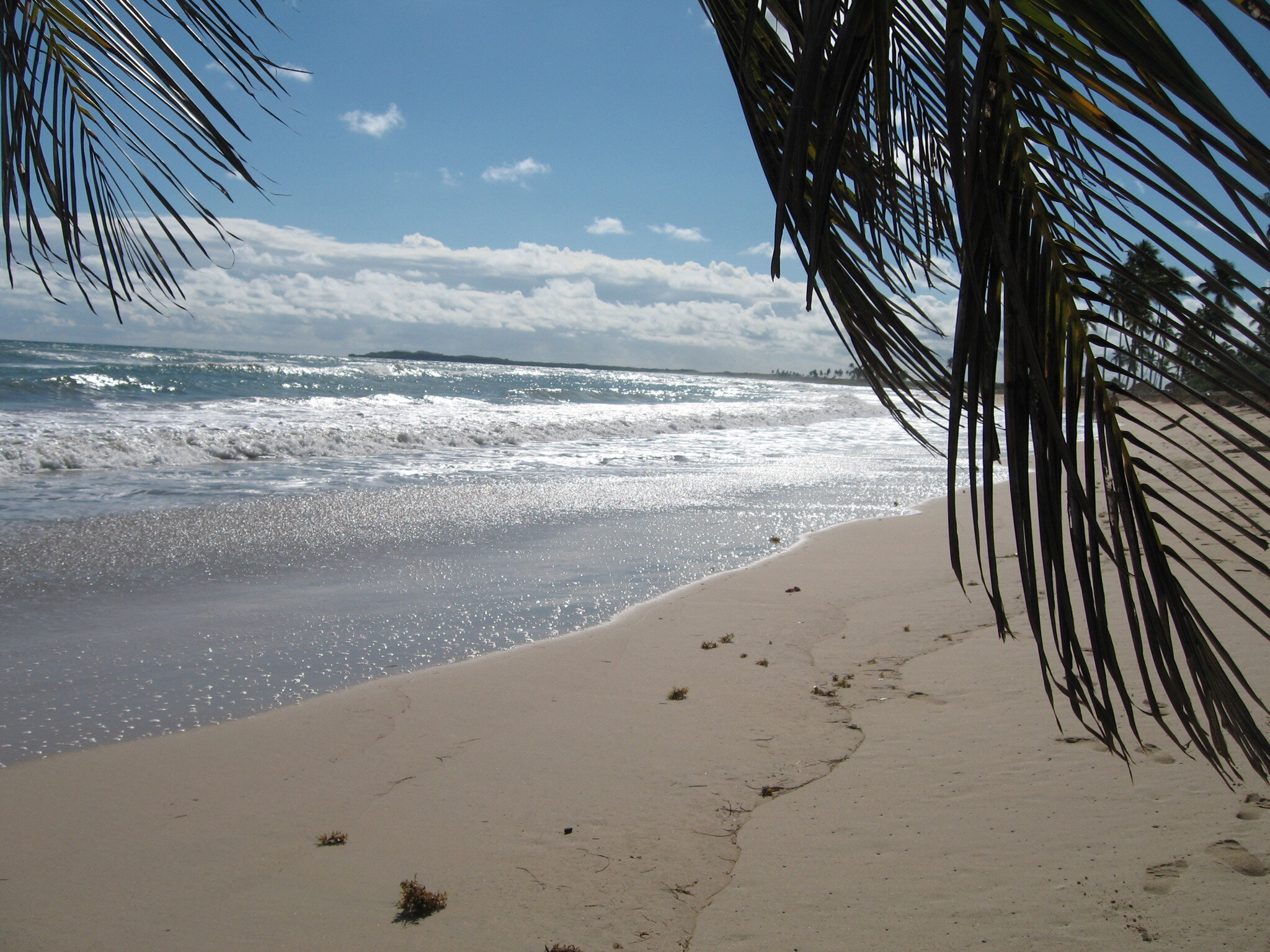 Canon POWERSHOT SD550 sample photo. Sunny and hot: ixtapa mexico photography