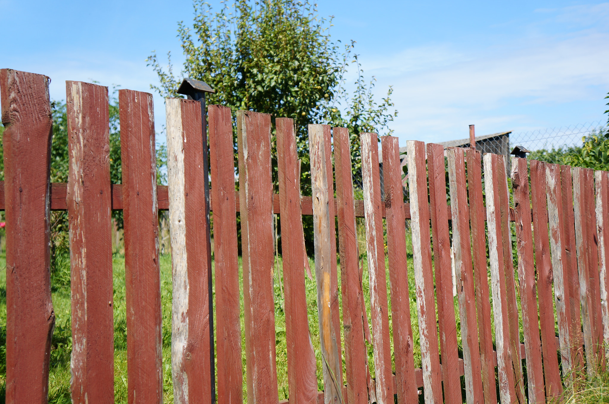 Sony E 18-55mm F3.5-5.6 OSS sample photo. Wooden fence photography