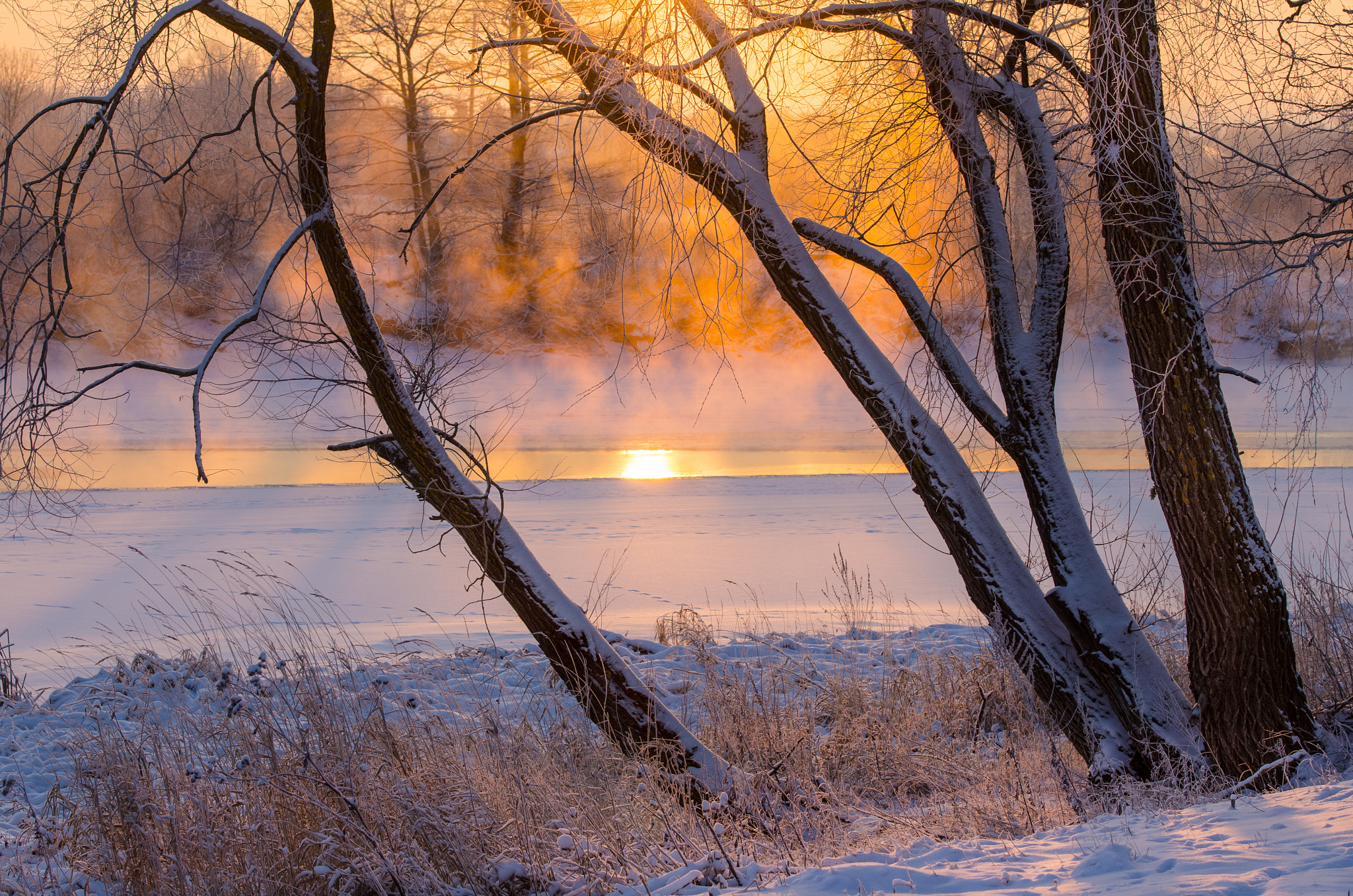 Pentax K-5 sample photo. River freezes slowly photography