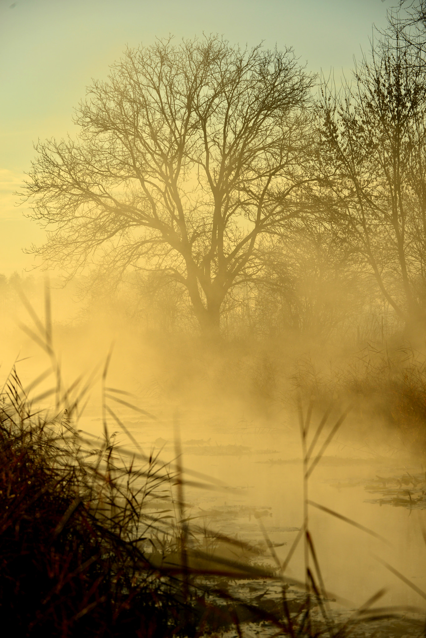 Sigma 17-70mm F2.8-4 DC Macro OS HSM | C sample photo. Morning calmnes photography