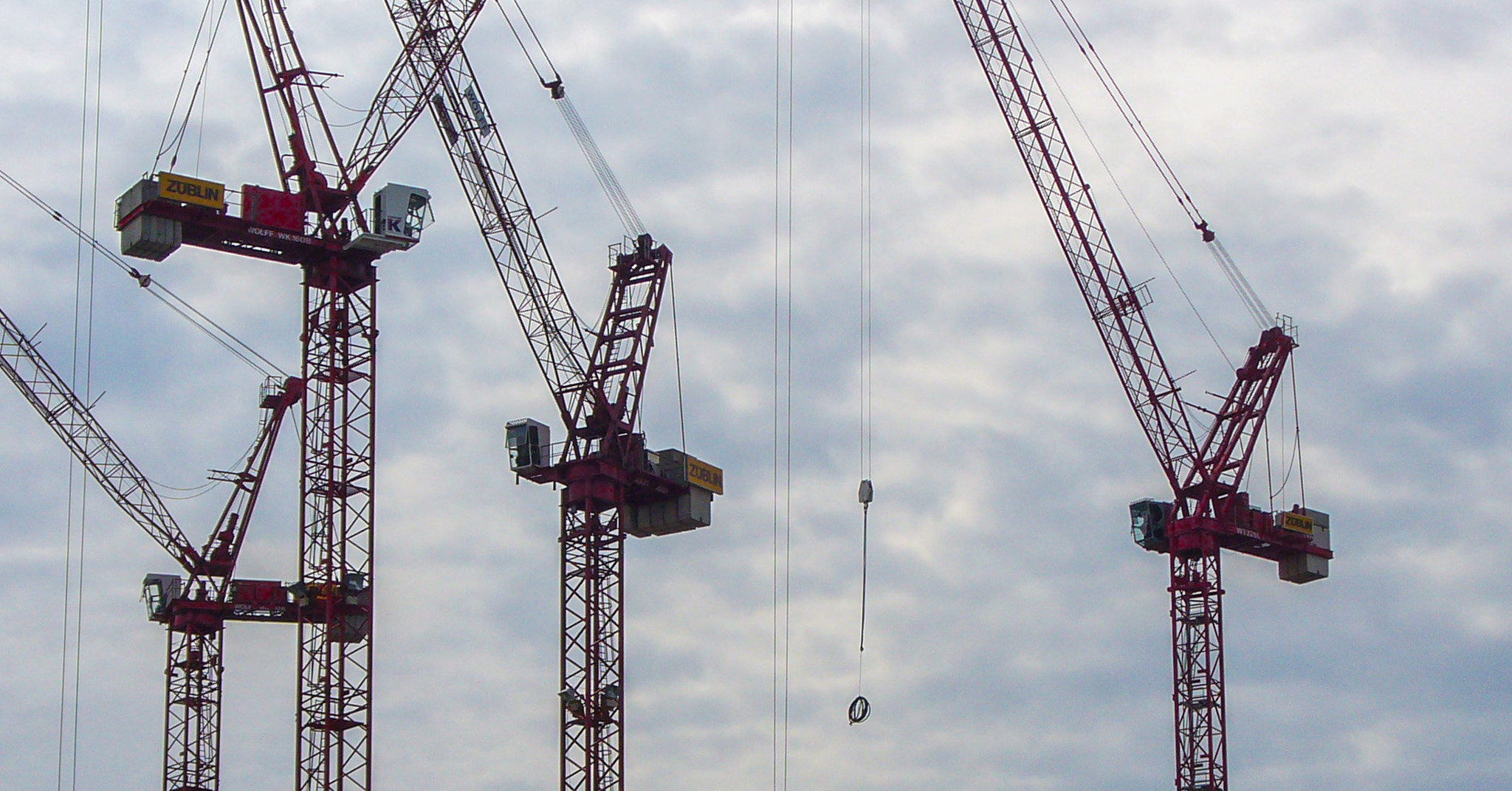 Panasonic DMC-LZ5 sample photo. Red cranes photography