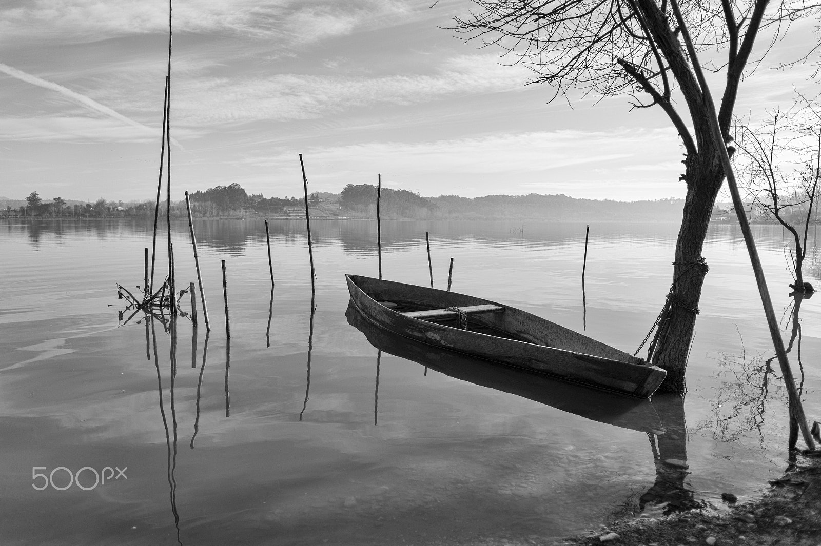 Leica Elmarit-M 24mm F2.8 ASPH sample photo. Pateira de fermentelos photography