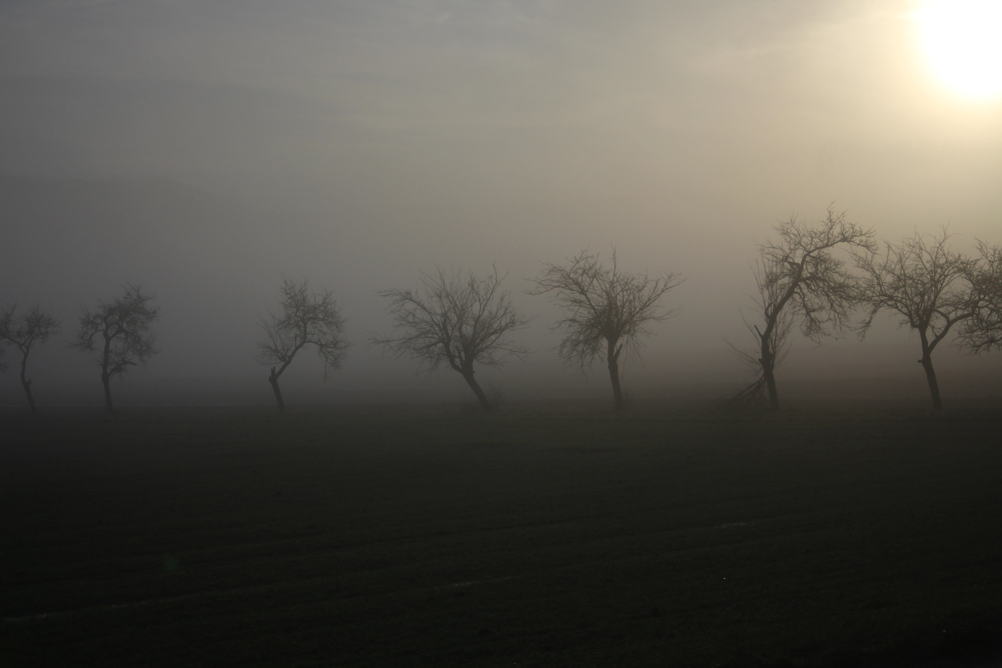 Canon EF 28-80mm f/3.5-5.6 USM sample photo. La brume photography