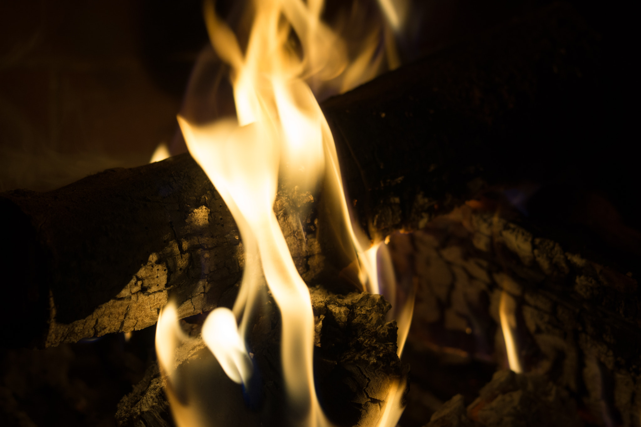 Sony SLT-A65 (SLT-A65V) + Sony 50mm F1.4 sample photo. Wood fire flames photography