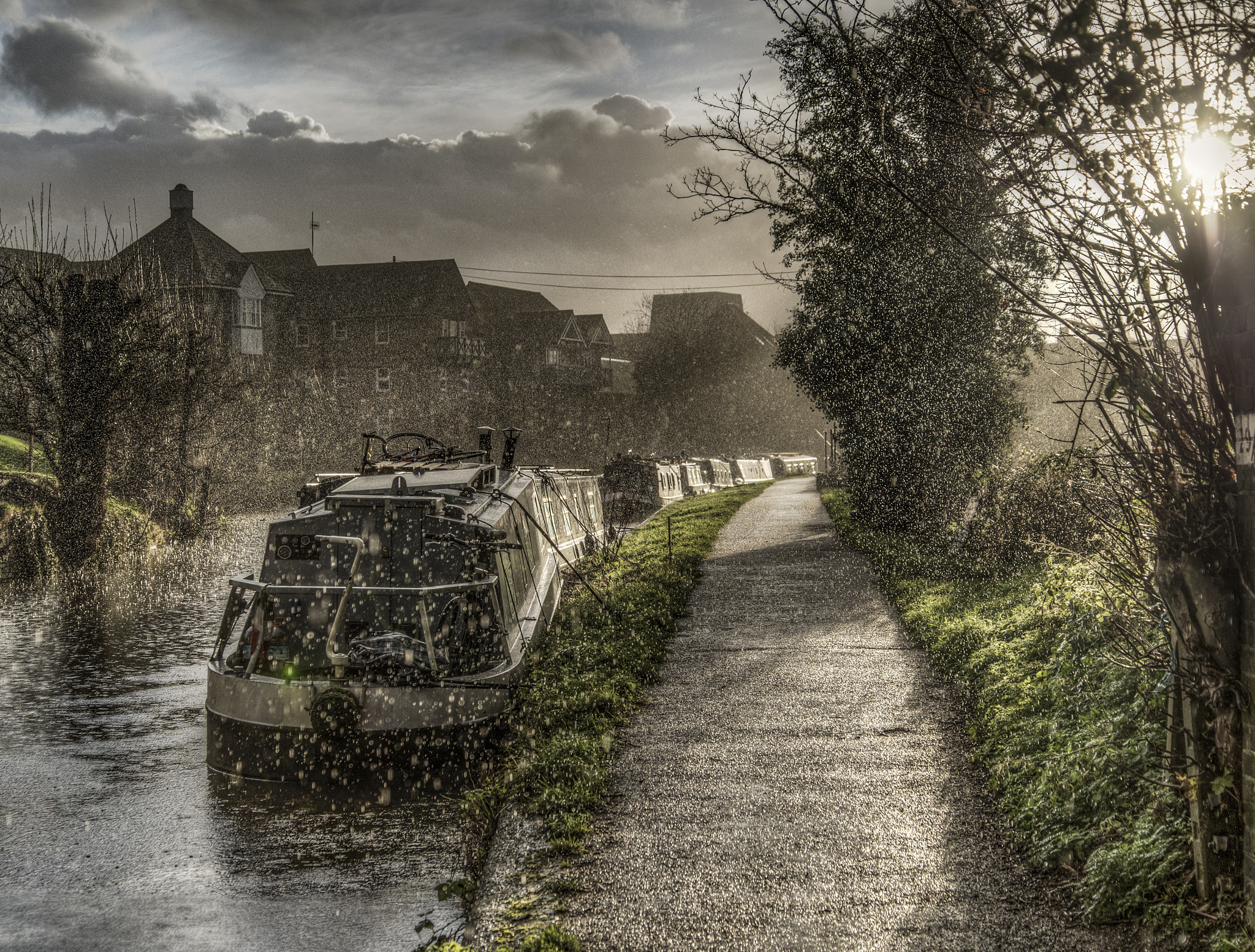 Nikon D4S sample photo. Rainy river lea photography