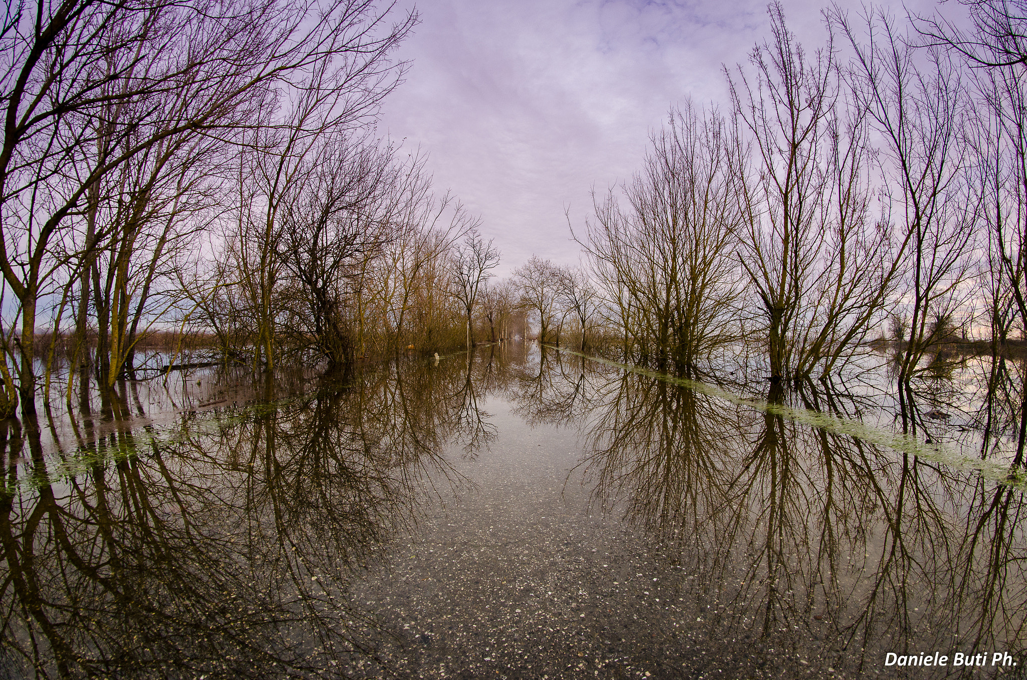 Samyang 8mm F3.5 Aspherical IF MC Fisheye sample photo. Mirror effect photography
