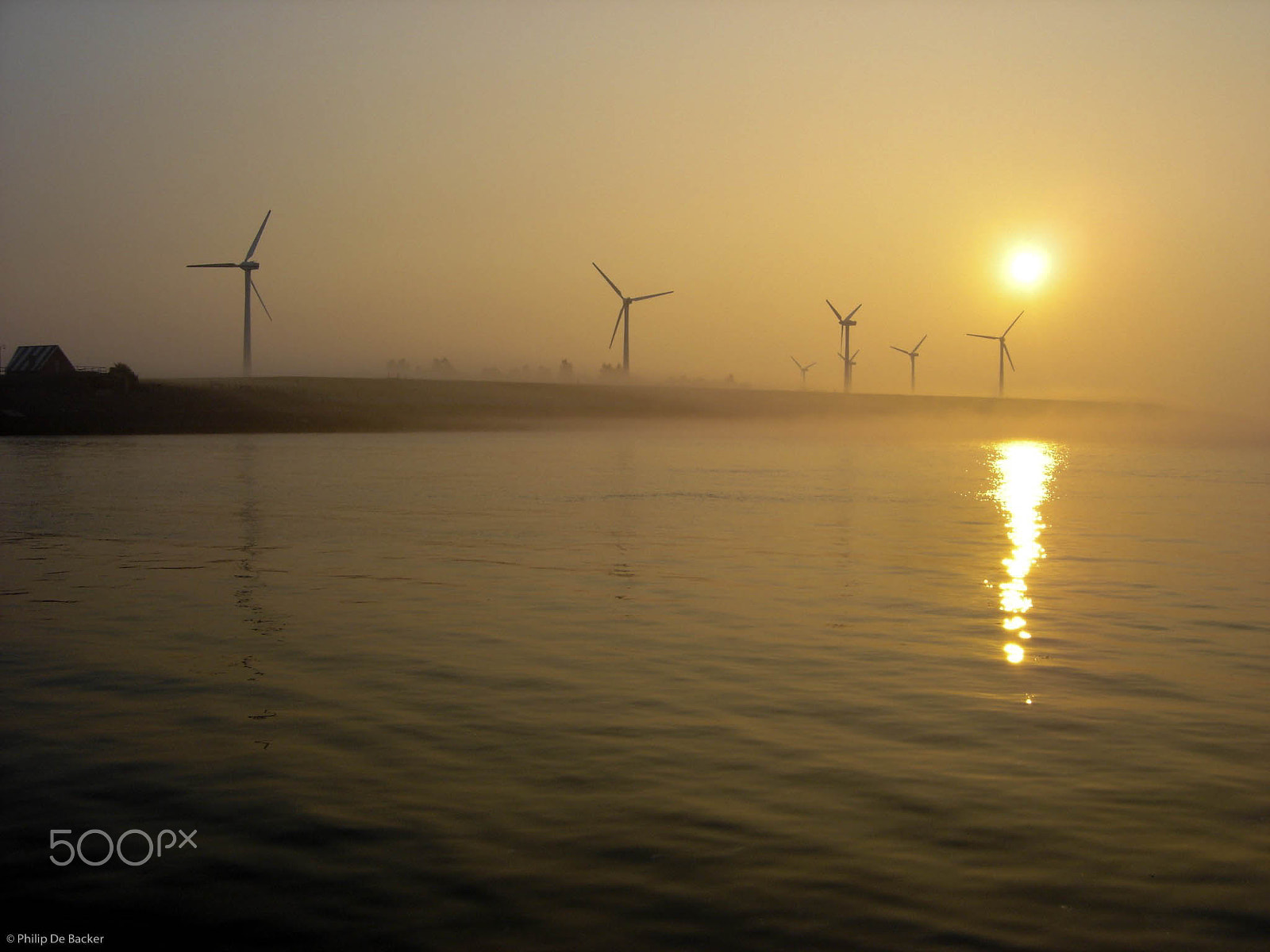 Sony DSC-P93 sample photo. Golden hour in zeeland photography