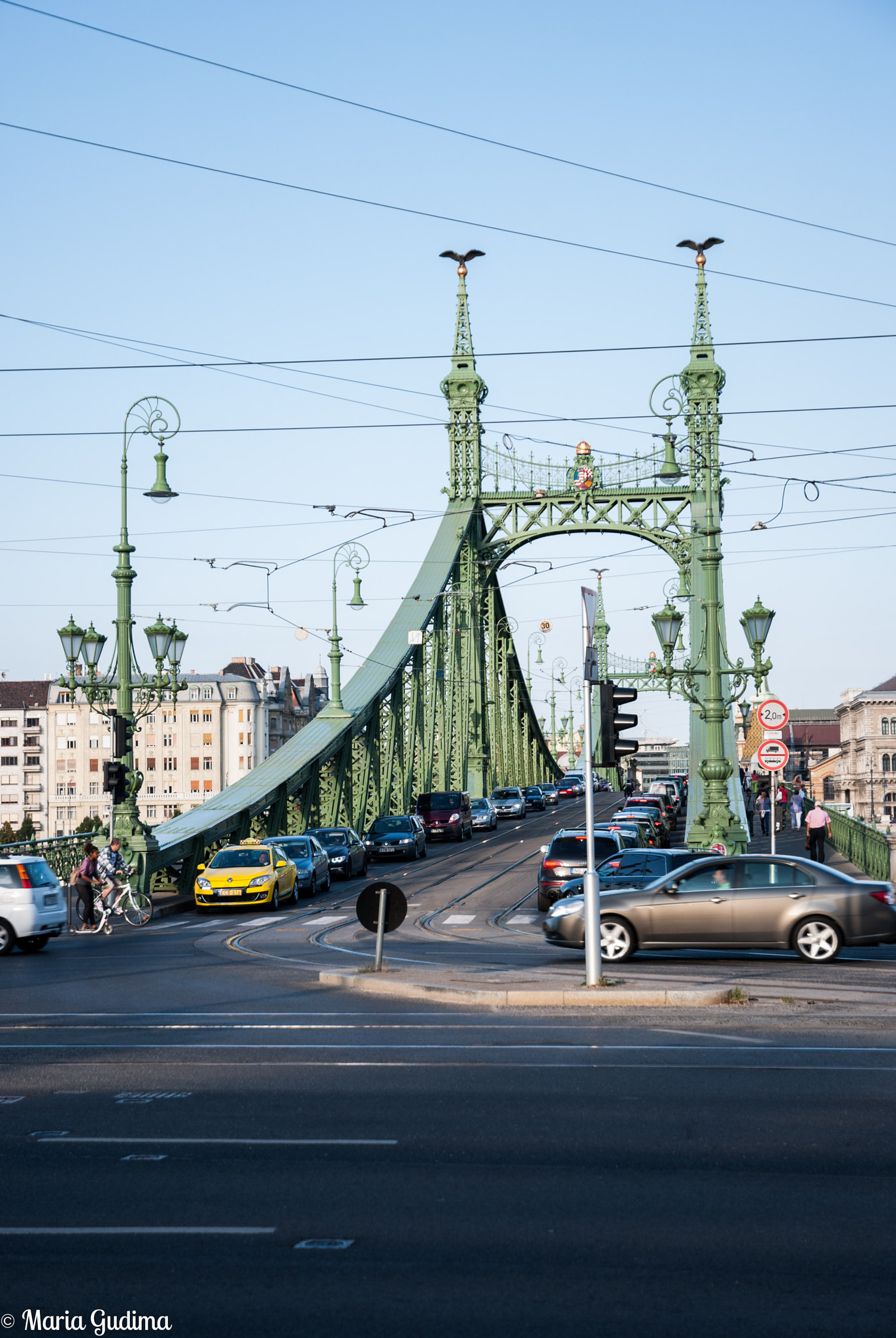 Nikon D60 sample photo. Szabadság híd (the liberty bridge) photography