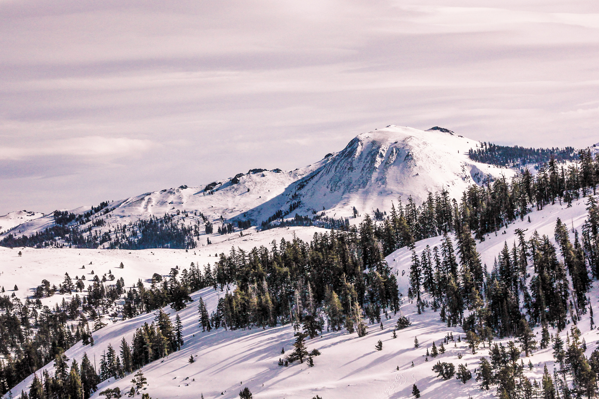Canon EOS 550D (EOS Rebel T2i / EOS Kiss X4) sample photo. Watching over laketahoe photography