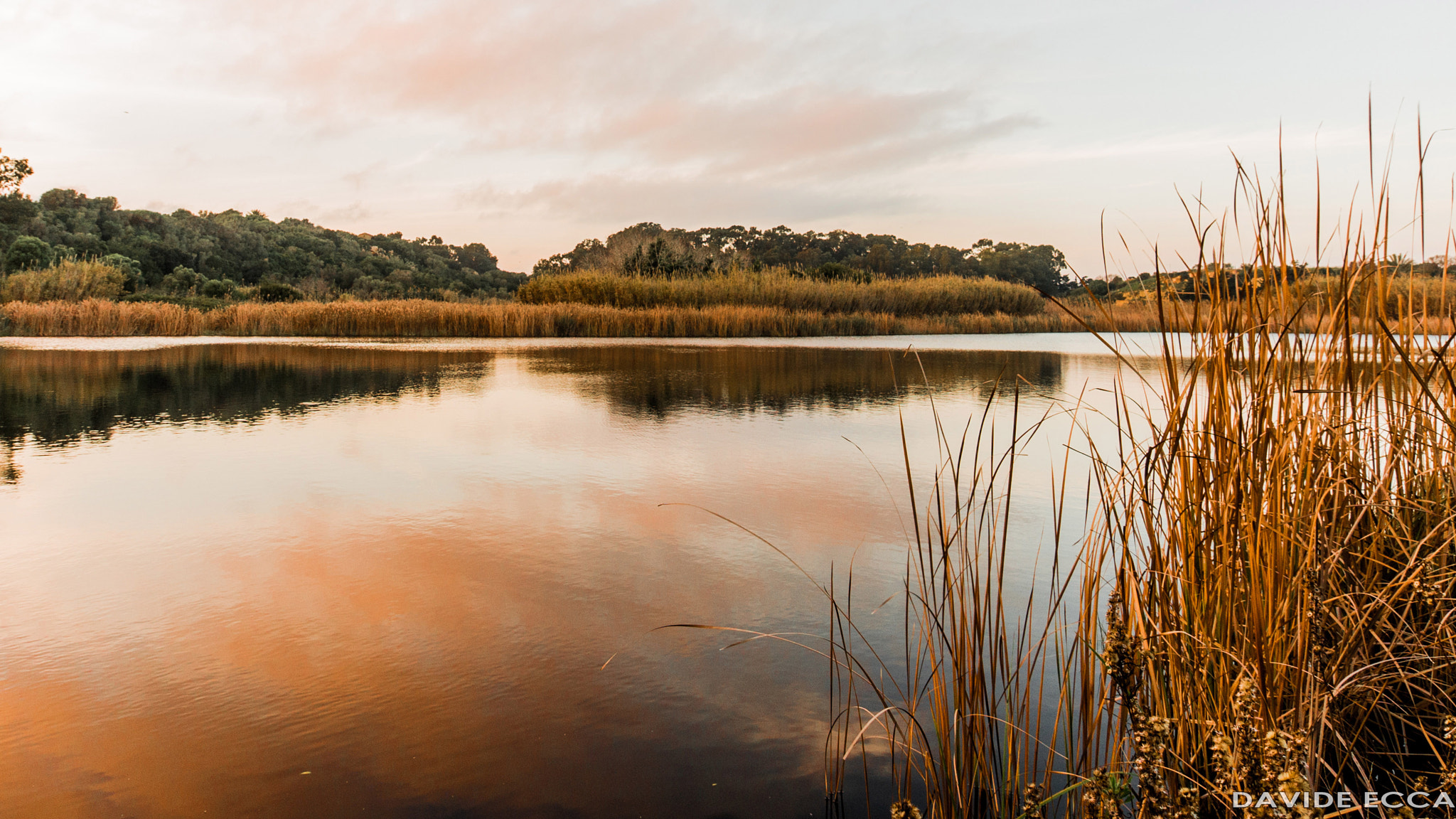 Sony SLT-A99V sample photo. Oasi wwf lago preola  - davide ecca photography
