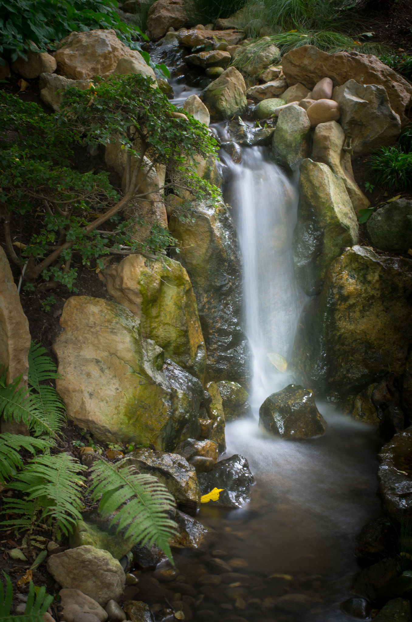 Pentax K-5 + smc PENTAX-F MACRO 50mm F2.8 sample photo. Torrent photography