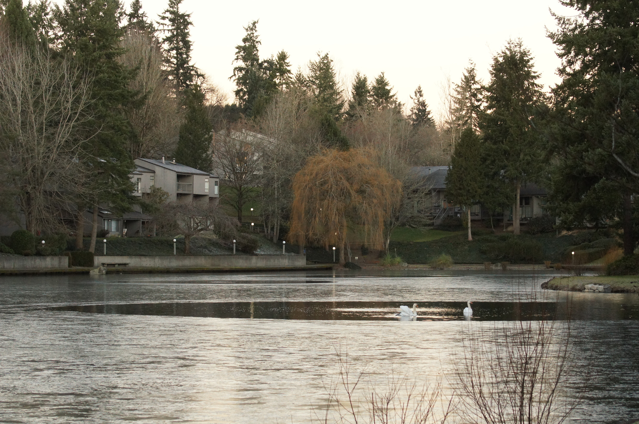 Sony 75-300mm F4.5-5.6 sample photo. Frozen photography