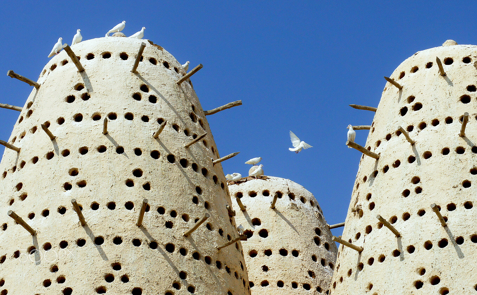 Sony NEX-VG10E sample photo. Pigeon towers in katara photography