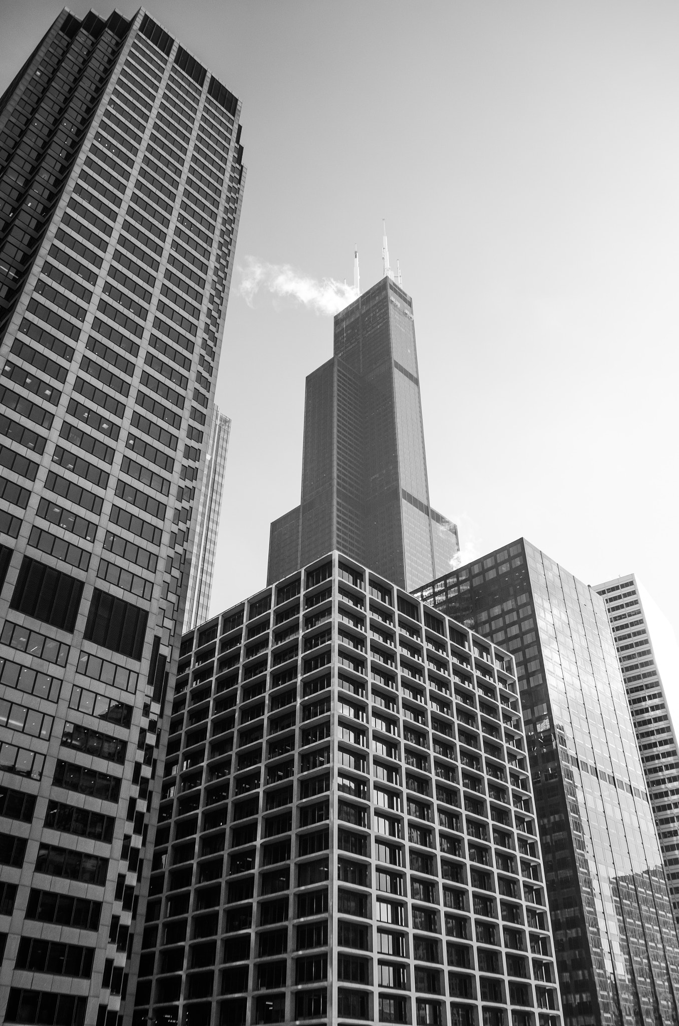 Sigma 18-50mm F2.8-4.5 DC OS HSM sample photo. Towering giants photography