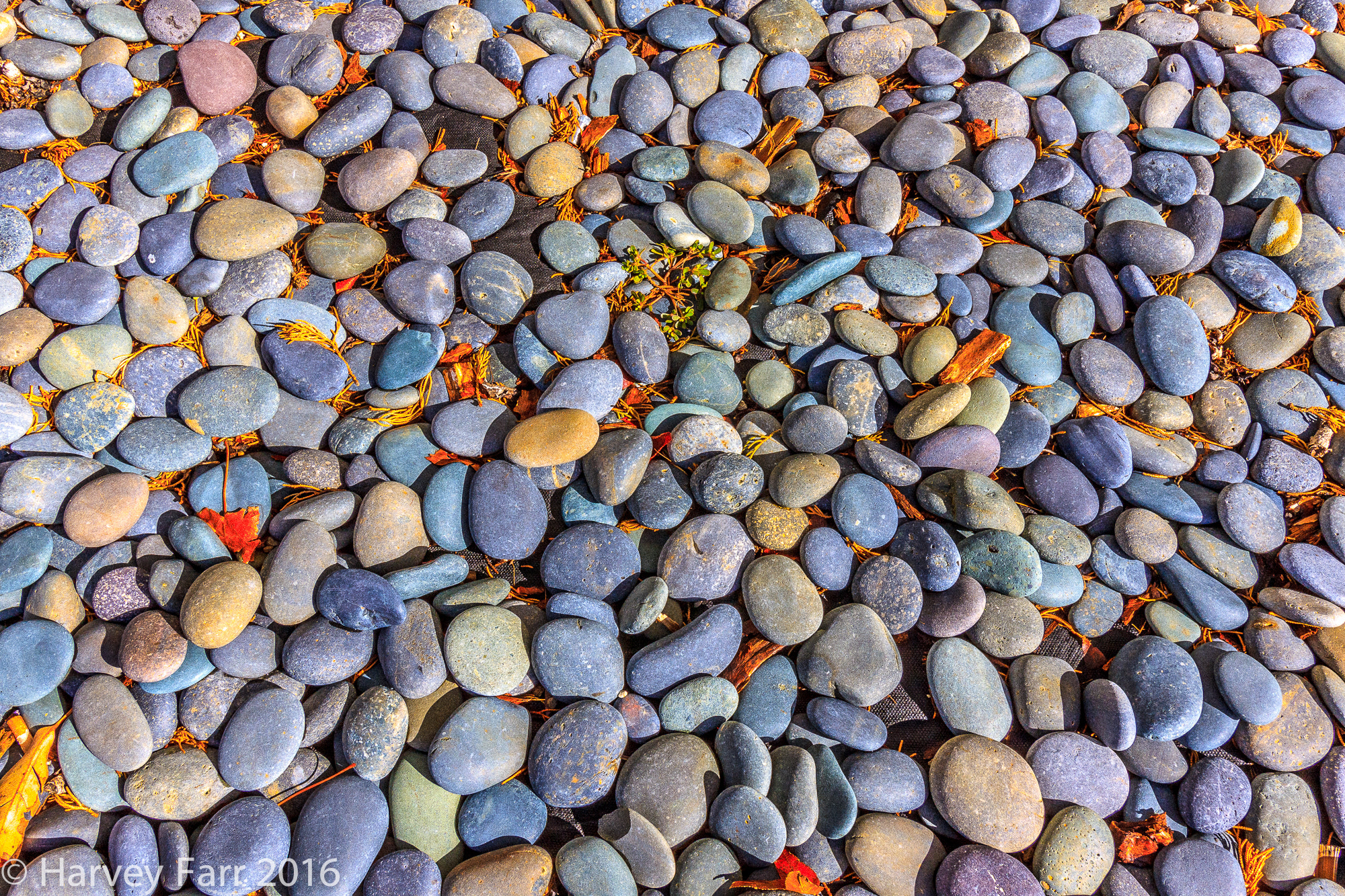 Canon EF-S 10-18mm F4.5–5.6 IS STM sample photo. Rocks photography