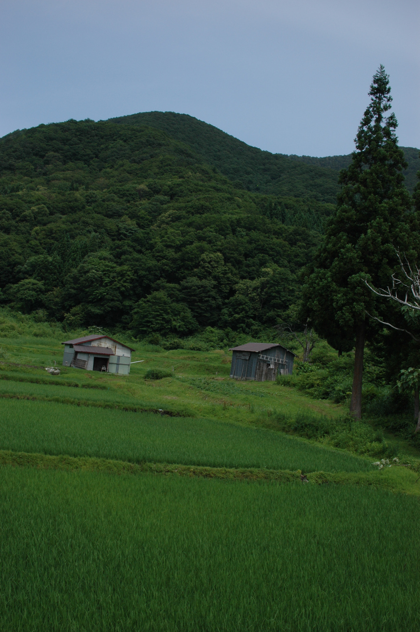 Nikon D70 + Sigma 30mm F1.4 EX DC HSM sample photo. Mountain village, naruko photography