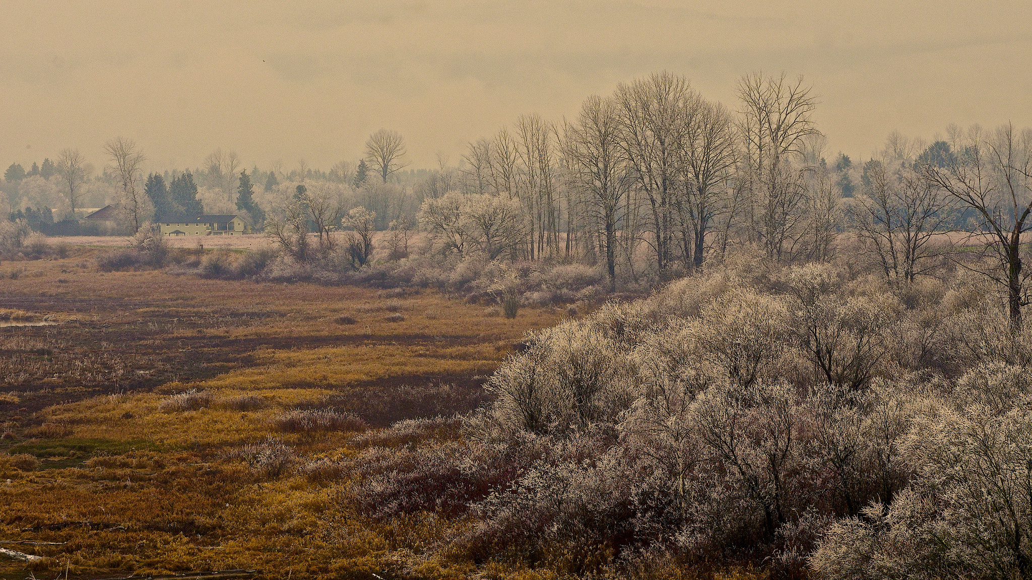smc PENTAX-FA J 75-300mm F4.5-5.8 AL sample photo. Winters progress photography