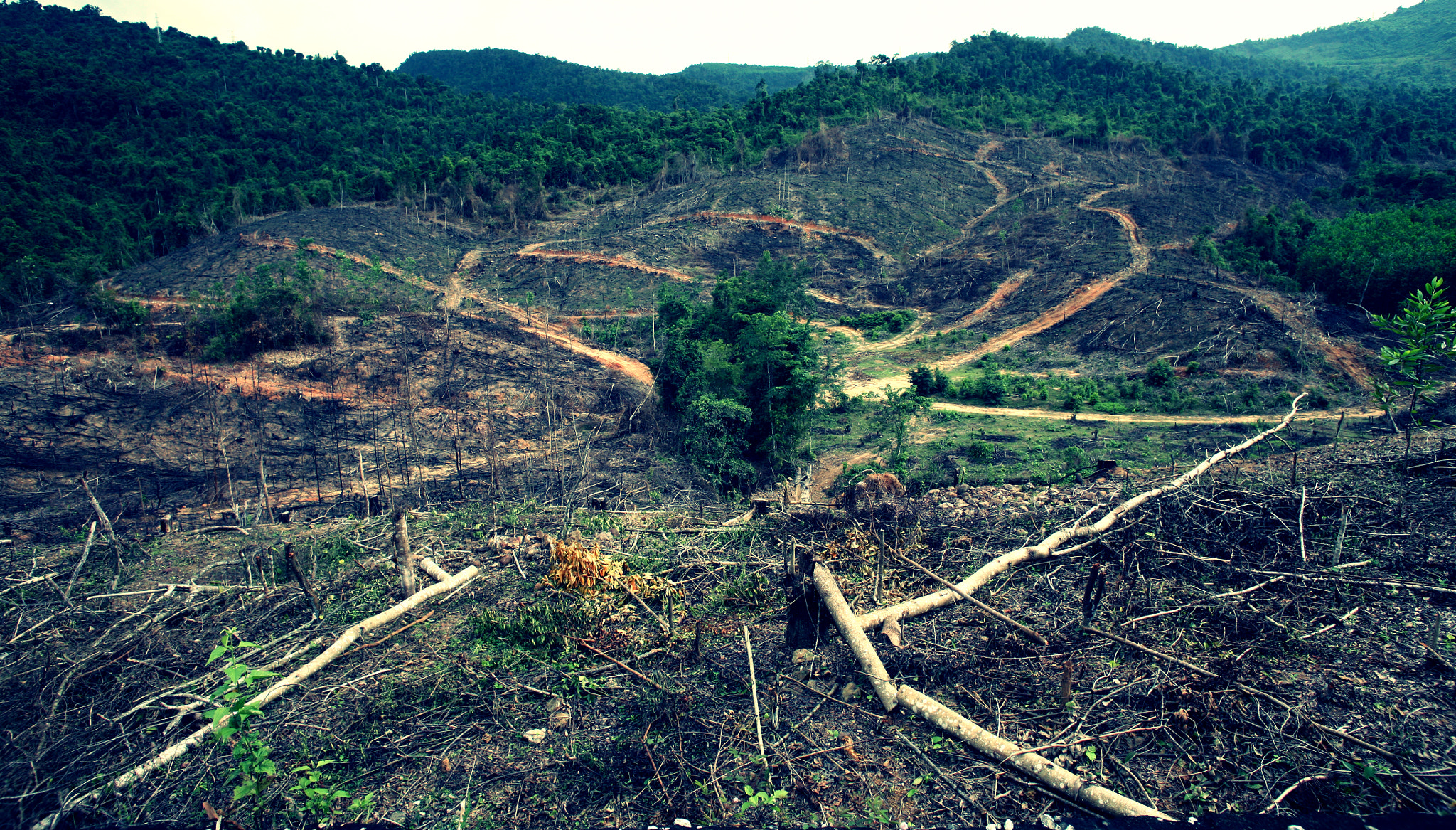 Canon EOS 5D + Canon EF 20mm F2.8 USM sample photo. Vietnam in my eyes! photography