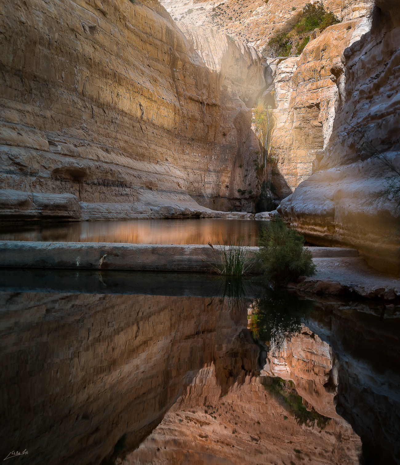 Sony ILCA-77M2 sample photo. Ein avdat photography