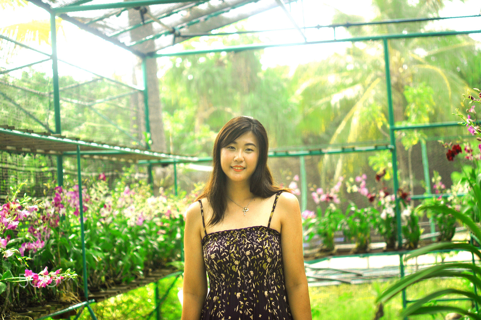 Nikon AF-S Micro-Nikkor 60mm F2.8G ED sample photo. August 24,2015 photography
