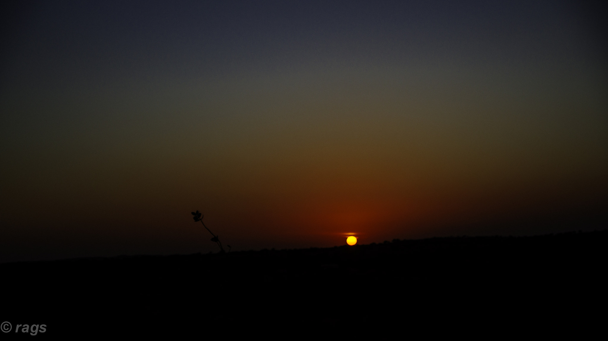 Sony SLT-A55 (SLT-A55V) + Sony DT 16-50mm F2.8 SSM sample photo. The setting sun! photography