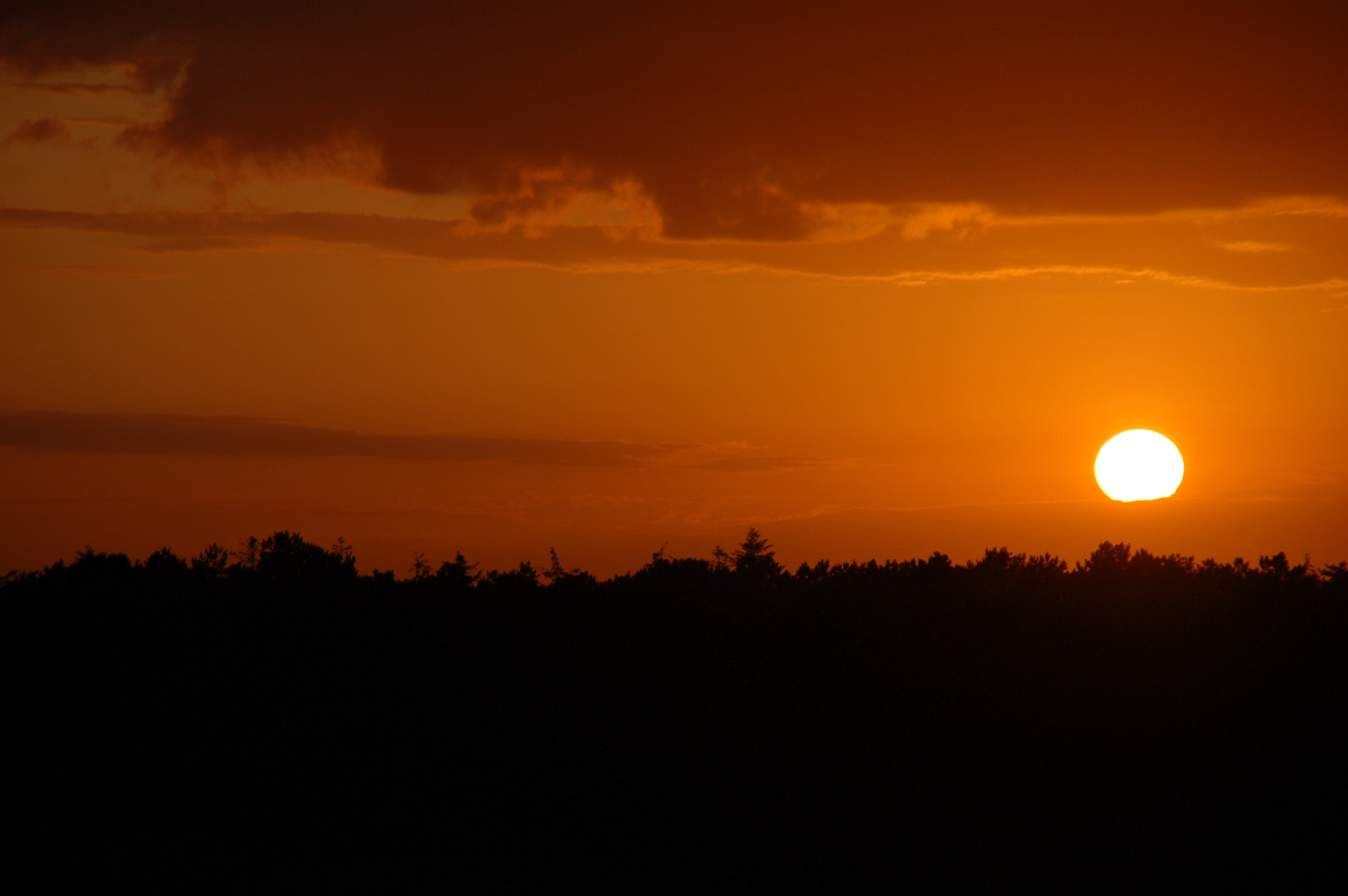 Nikon D50 sample photo. Sun down  photography