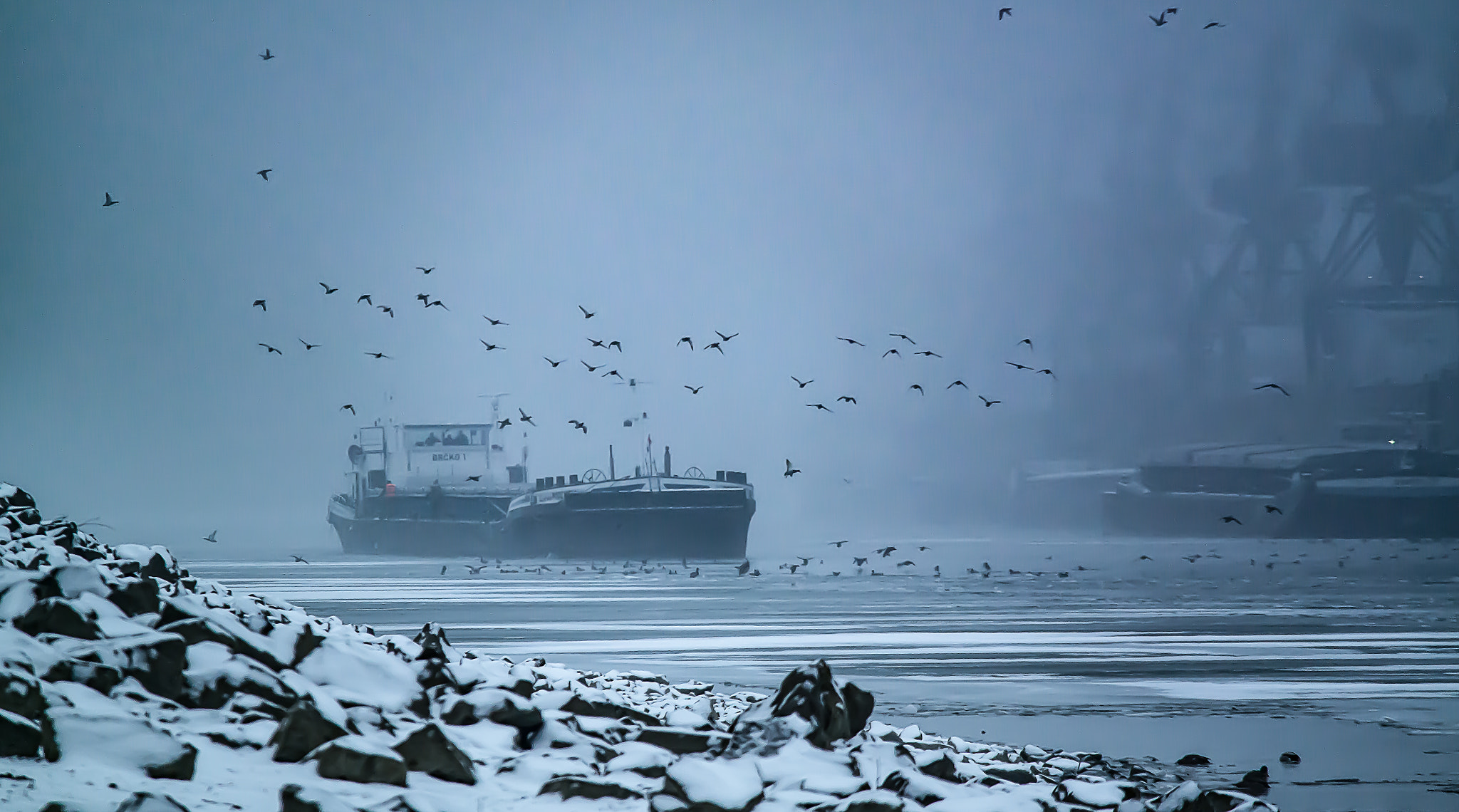 Samsung NX30 + Samsung NX 50-200mm F4-5.6 ED OIS sample photo. Emerge from the mist photography