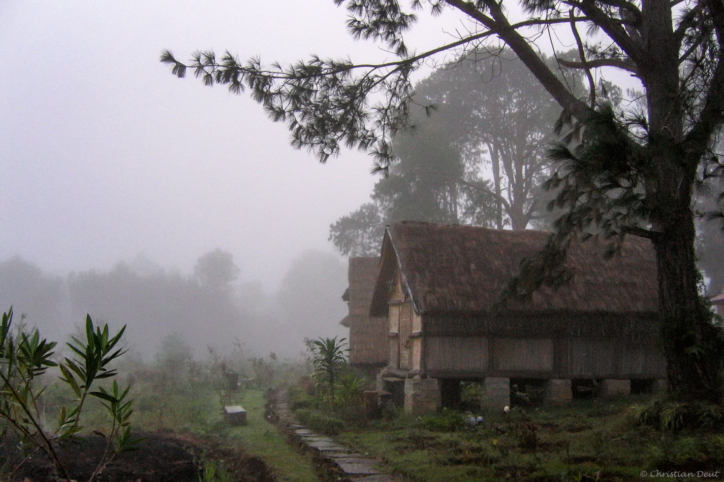 Canon POWERSHOT A95 sample photo. Cabane dans la brume photography