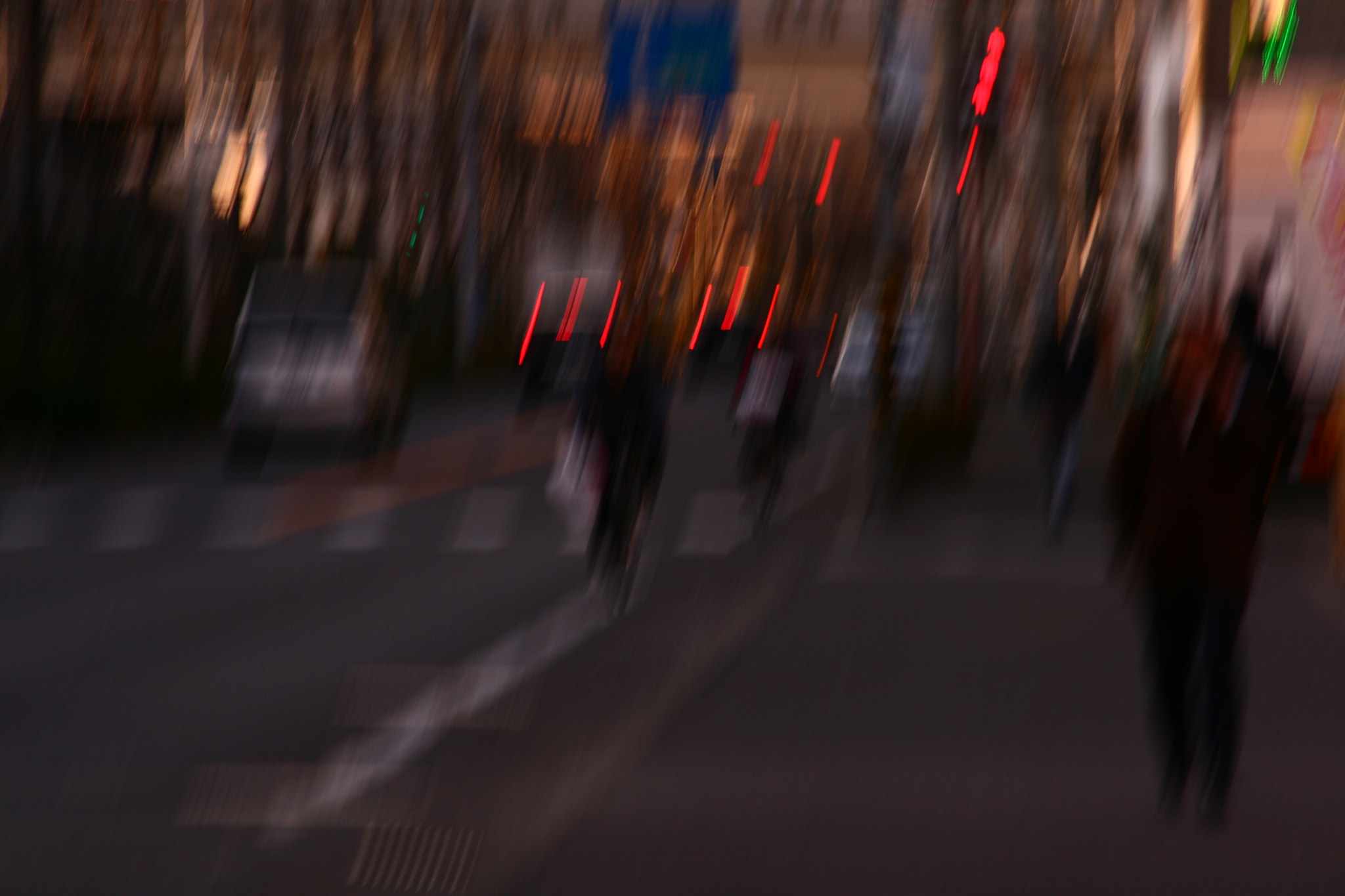 Canon EF 55-200mm F4.5-5.6 II USM sample photo. Passing photography