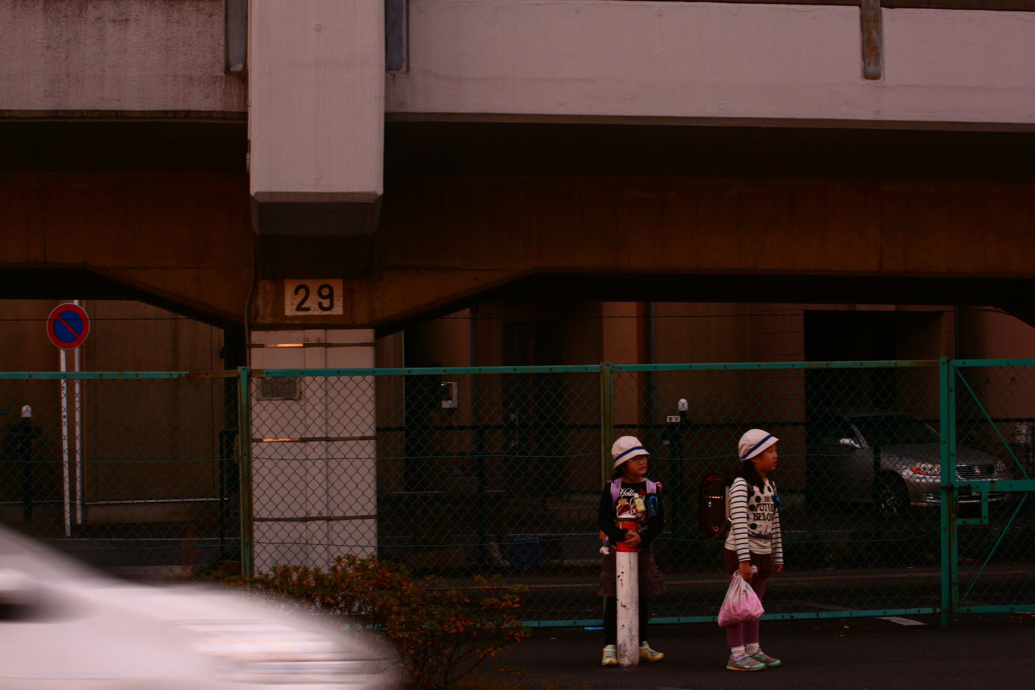 Canon EF 55-200mm F4.5-5.6 II USM sample photo. Passing photography