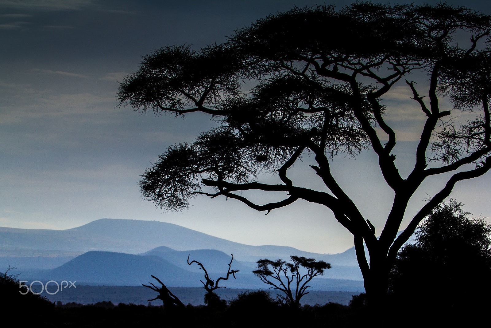 Canon EF 70-200mm F2.8L IS II USM sample photo. Kilimandjaro foot hills photography