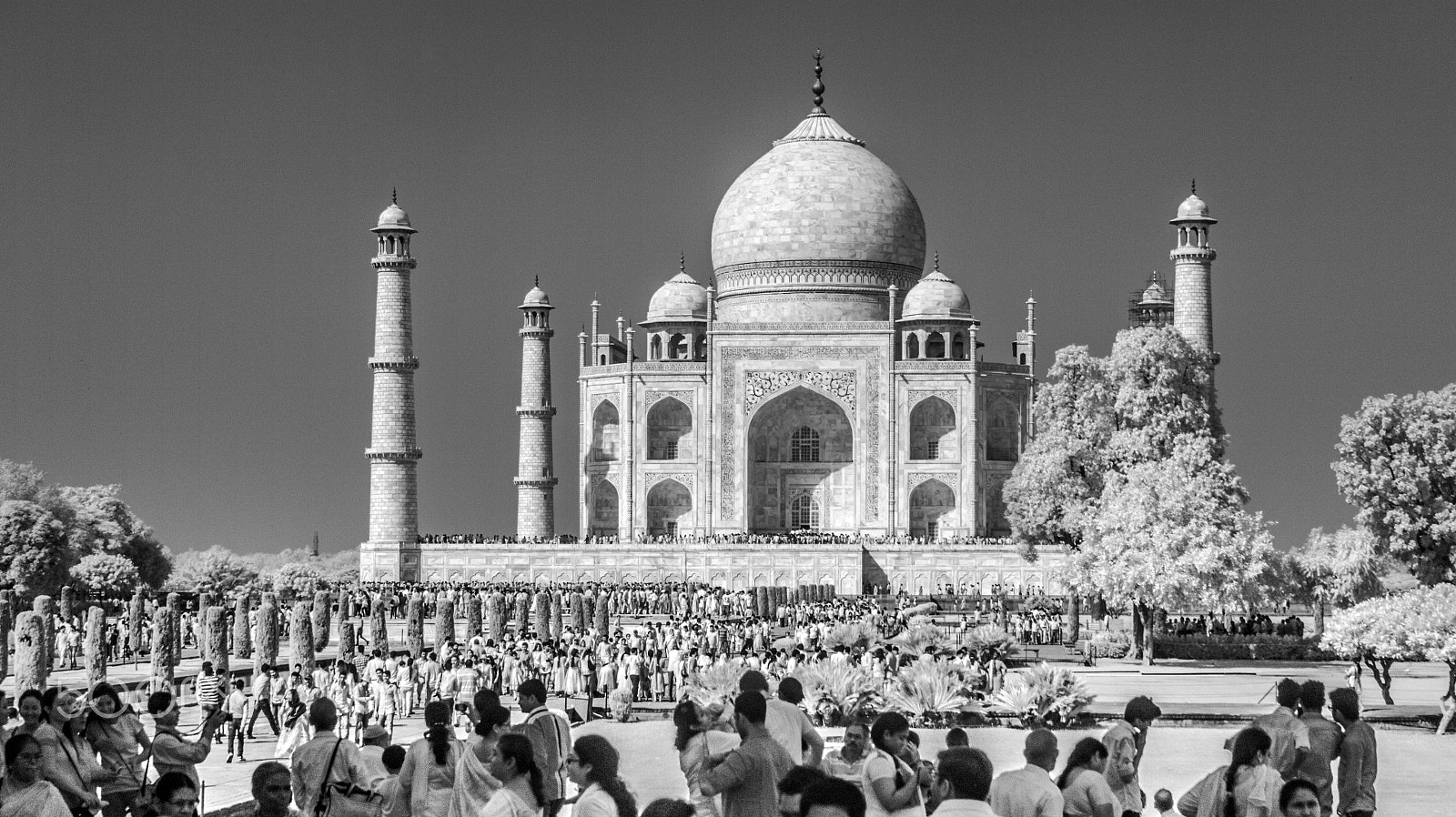 Canon EOS 500D (EOS Rebel T1i / EOS Kiss X3) sample photo. Queuing for the taj photography