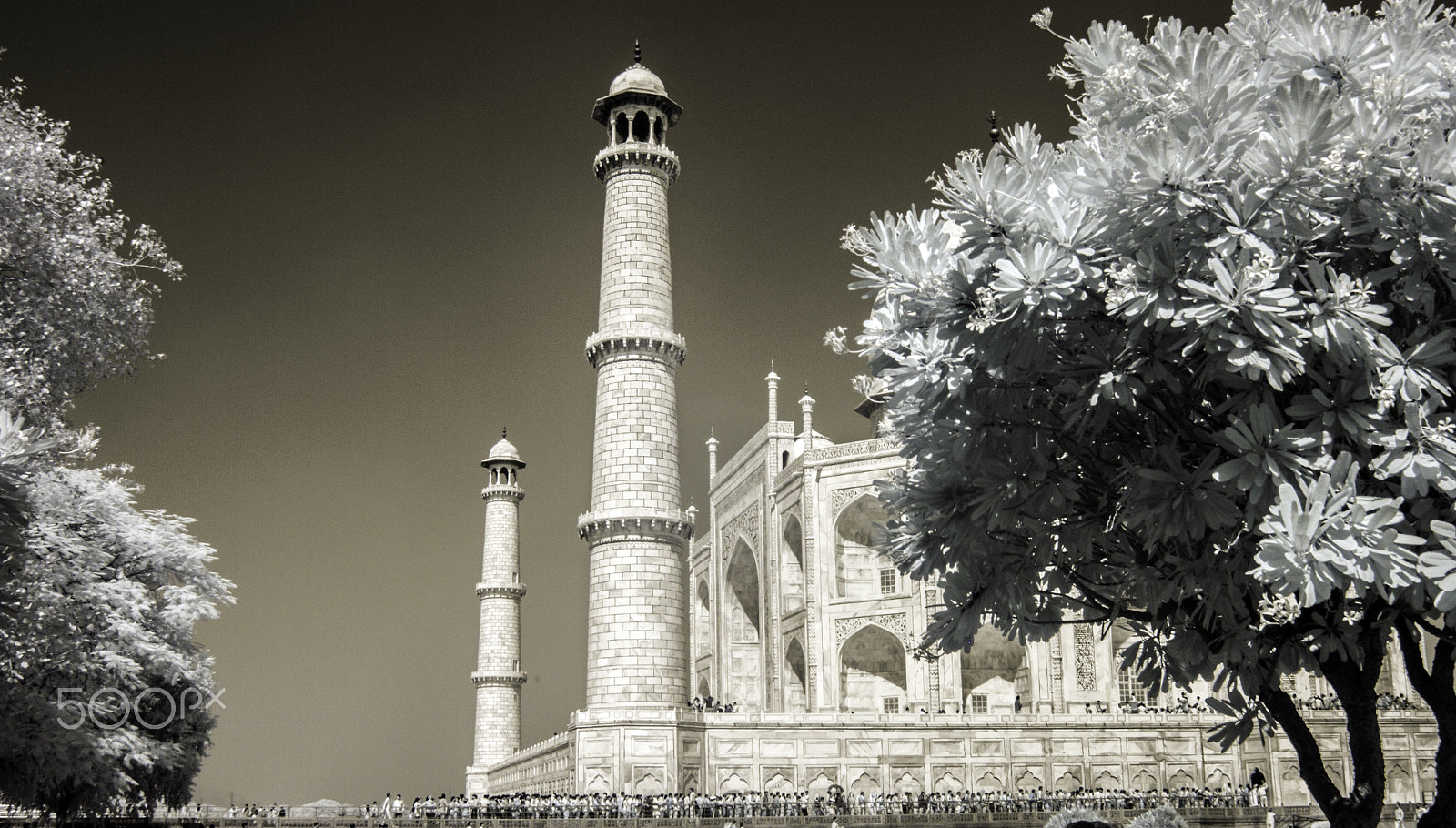 Canon EOS 500D (EOS Rebel T1i / EOS Kiss X3) sample photo. Twin towers of the taj photography