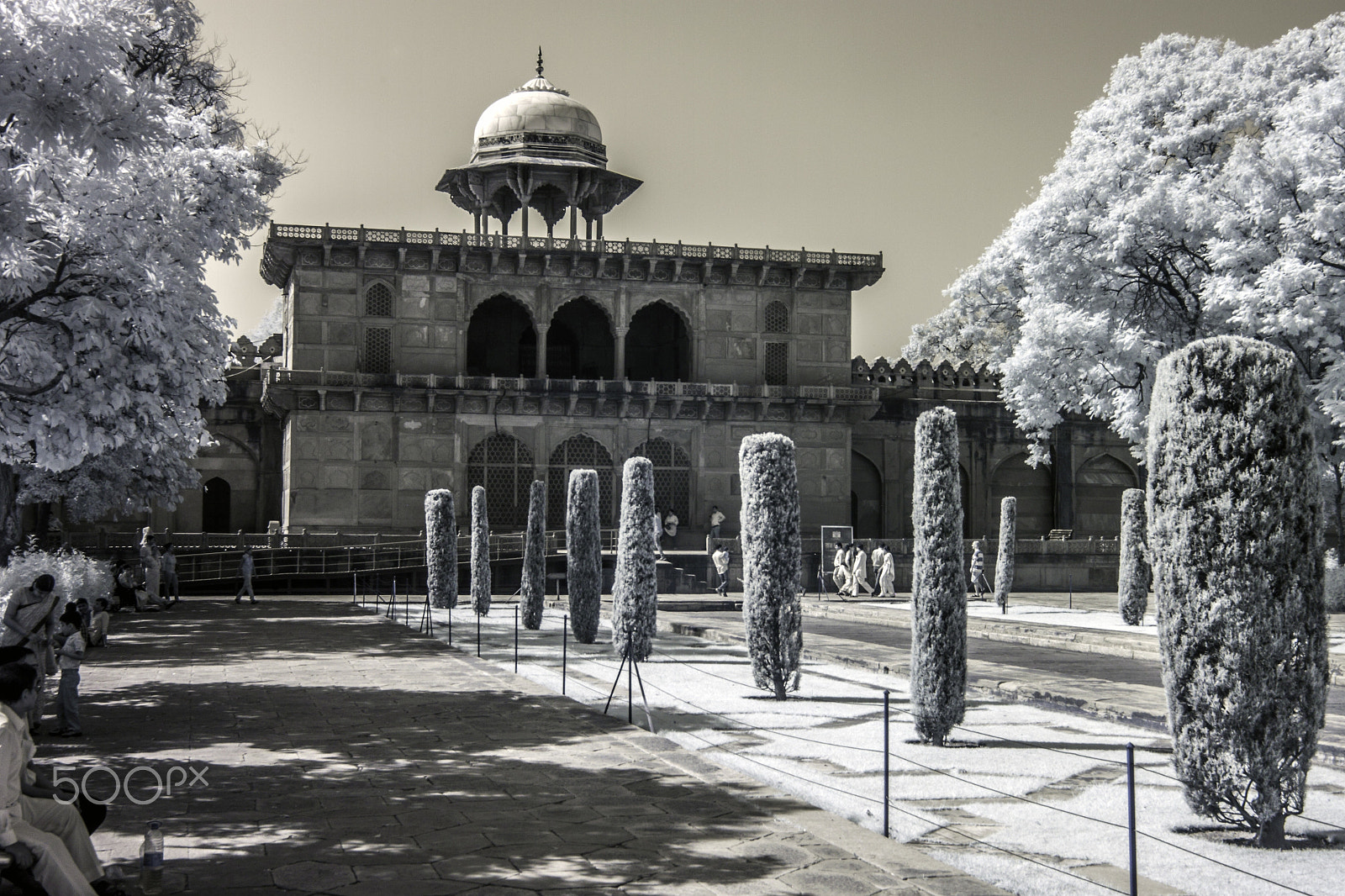 Canon EOS 500D (EOS Rebel T1i / EOS Kiss X3) sample photo. Side garden of taj mahal photography