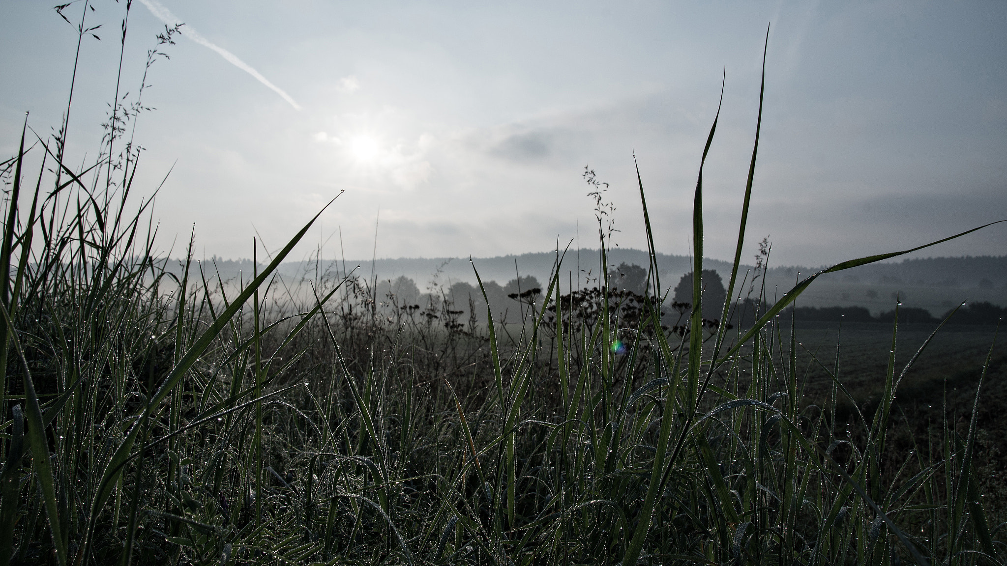 Sony SLT-A57 + Tamron AF 28-105mm F4-5.6 [IF] sample photo. Cold morning photography