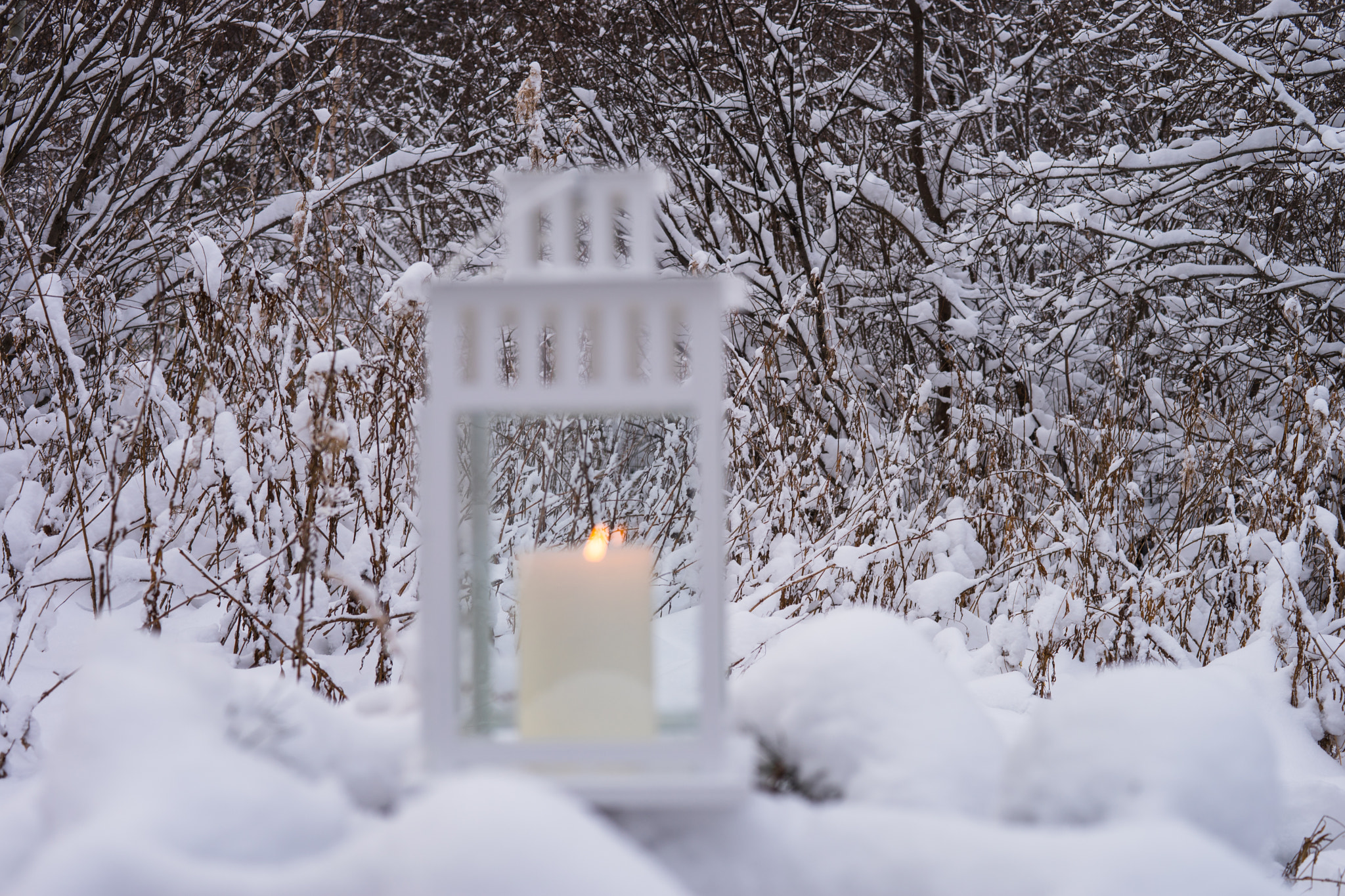Sony a7 + Sony 50mm F1.4 sample photo. White on white photography